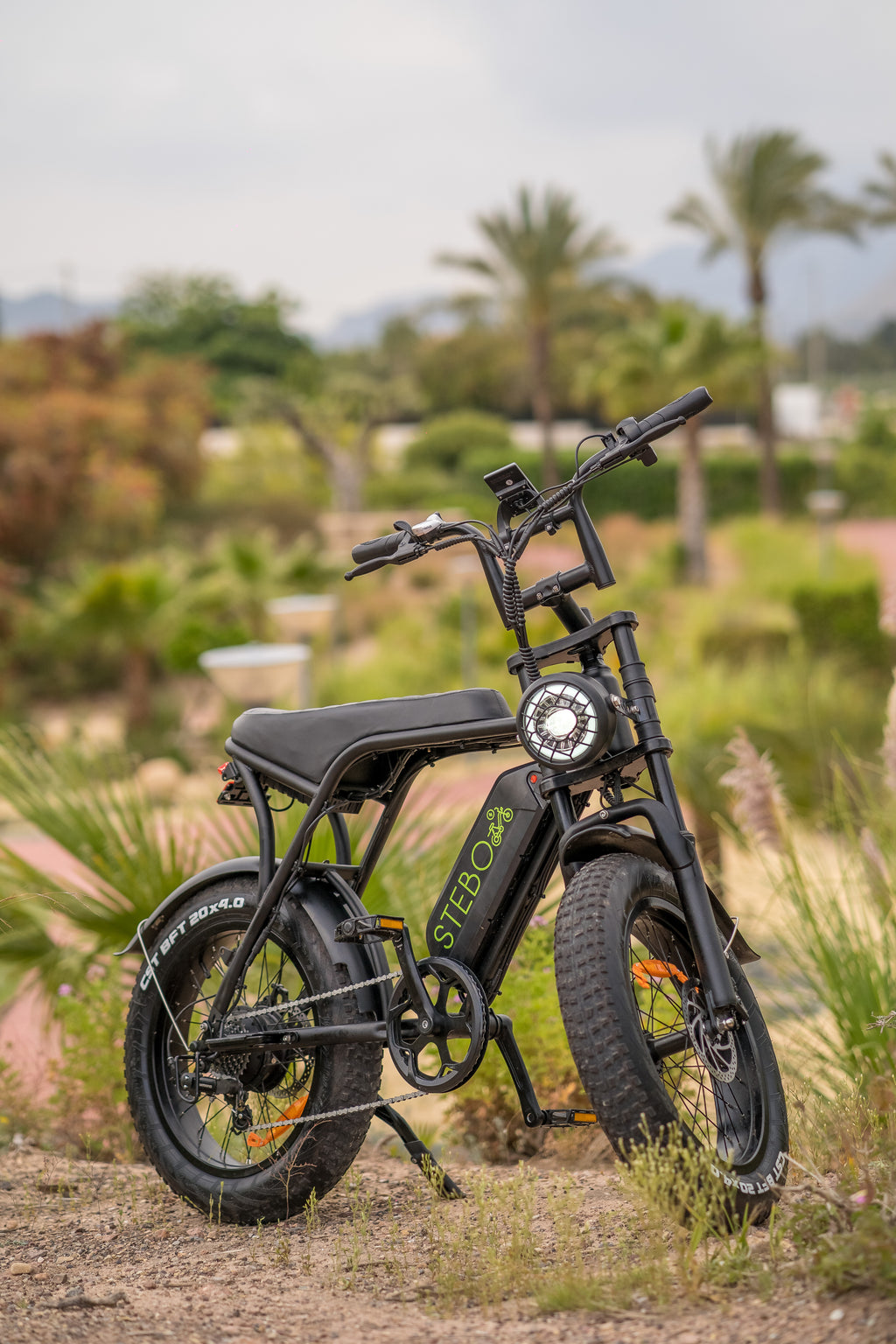 STEBO Ouxi V8