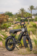STEBO Ouxi V8