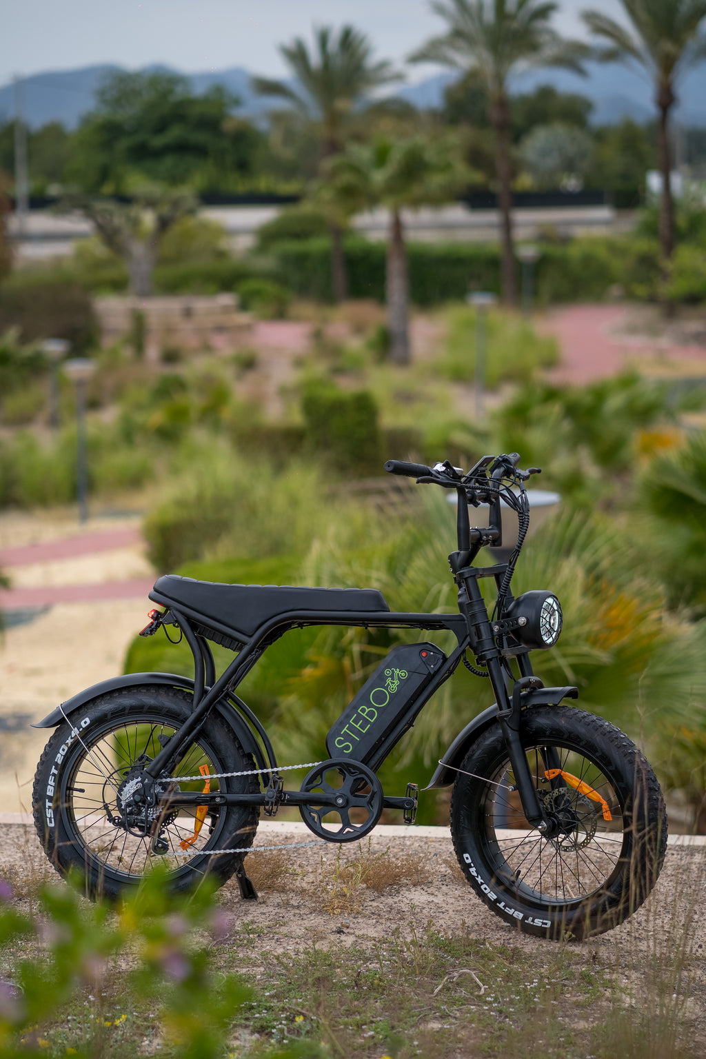 STEBO Ouxi V8