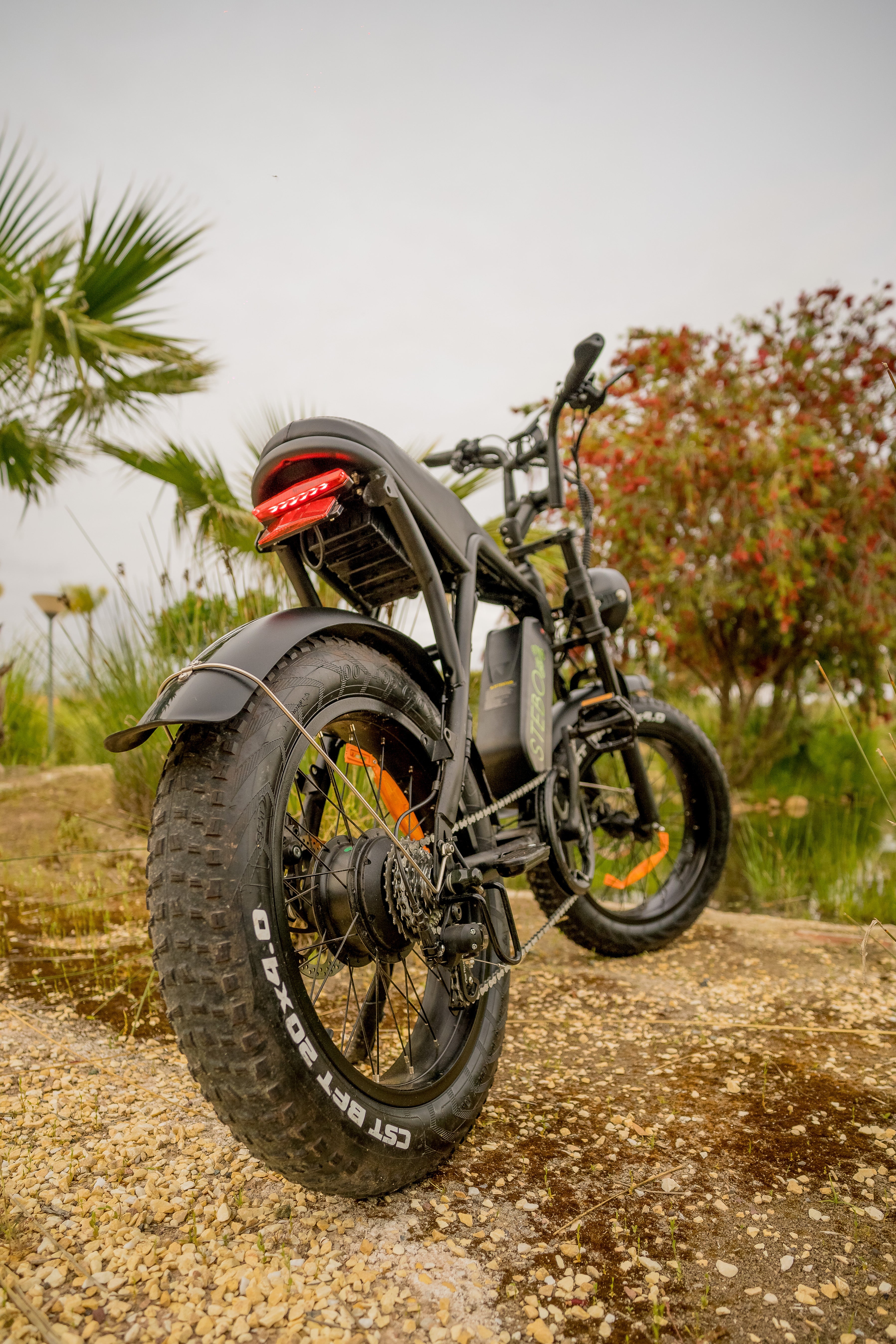 STEBO Ouxi V8